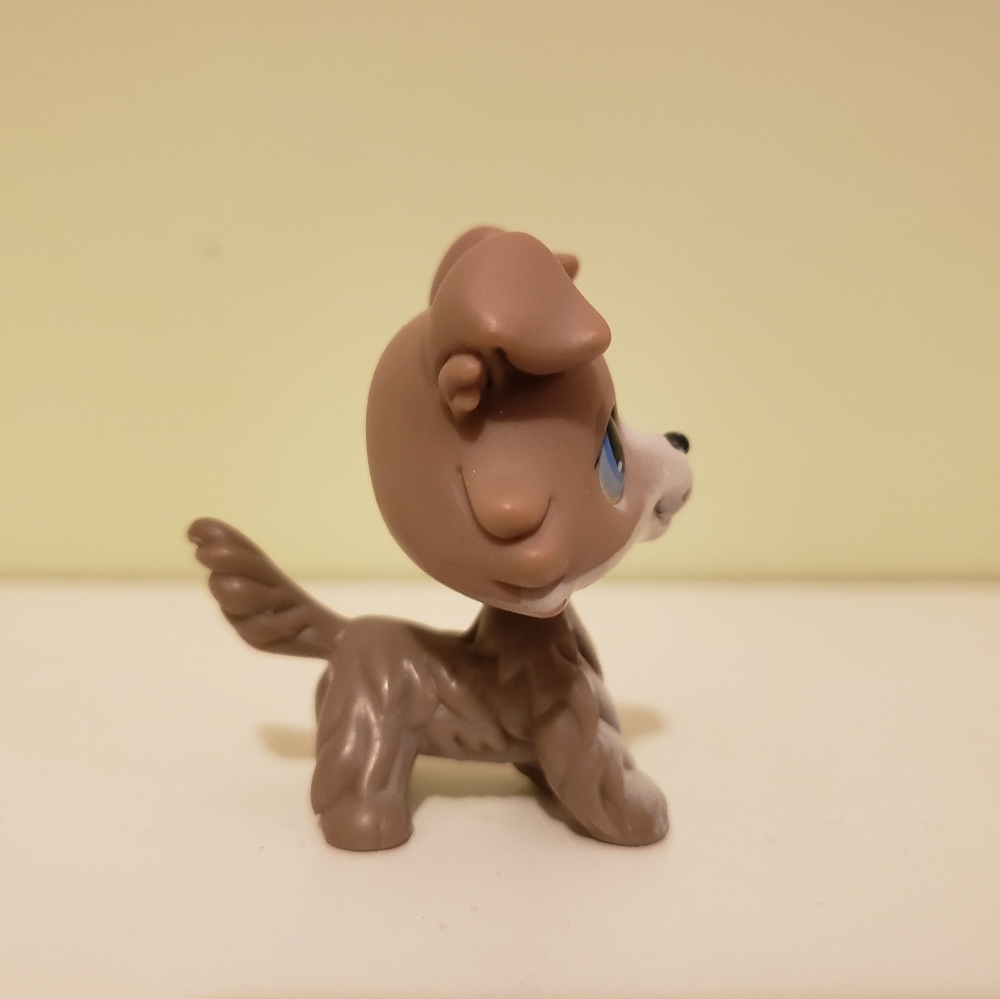 Authentic collie #67 - Picture 4 of 5